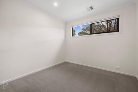 1/30 Aurora Close, Mawson ACT 2607 - House For Rent | Domain - Photo 5