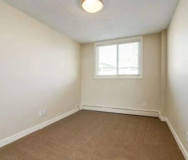 1 Bedroom - Photo 2
