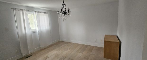 For Lease - 289 Emerald Isle Court, Richmond Hill, Ontario - Photo 1