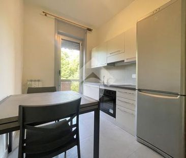 Trilocale in affitto - Photo 1