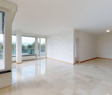 Bel appartement – Genève - Photo 1
