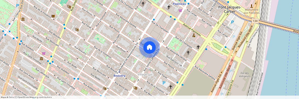 1415 Rue Plessis, Montréal (Ville-Marie), QC H2L