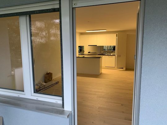 Unique apartment with special charm in Rorschacherberg - Photo 1