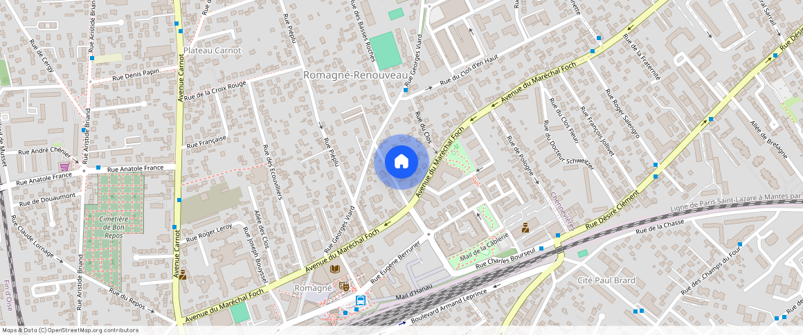 CONFLANS STE HONORINE (78700)