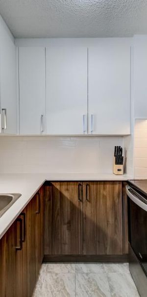 Appartement 3½ à louer – 1 250$/mois 3½ ---- Apartment for Rent – $1,250/month - Photo 1