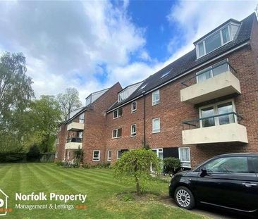 Off Oak Street, NR3 - Photo 5