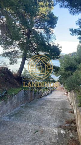 Διαμέρισμα για ενοικίαση Παραλία Αυλίδας (Αυλίδα) - Photo 5