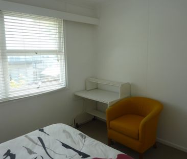 2-bedroom shared studio/granny flat, fenton place - Photo 3