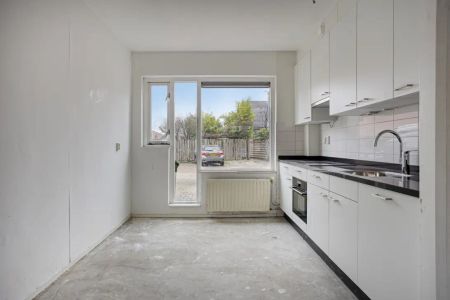 Zebraspoor 716 - Photo 3