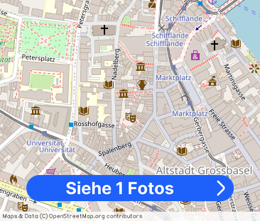 Best destinations in Basel - WEEKLY RENTALS from chf 875 - Foto 1