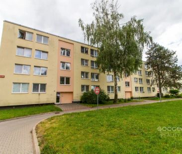 Pronájem bytu 1+1/sklep, 34 m - Fotografie 6