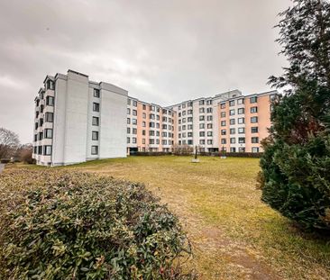 Tolles 1 Zimmer-Apartment in Mainz mit Pantryküche, saniert incl. S... - Photo 5