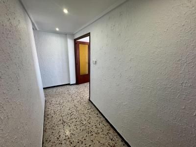 Flat - Elche (Plaza Crevillente-Juzgados) - Photo 4
