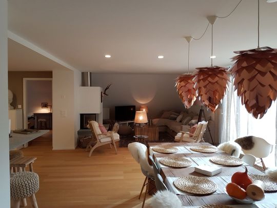 5.5 Zimmer, 220 m², 3. Stock - Foto 1