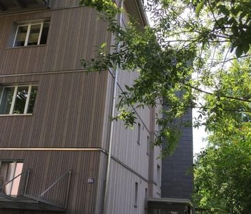 2.5 Zimmer, 52 m², 1. Stock - Foto 3