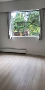 1-Bedroom Apartment-Newly Renovated: - Photo 3