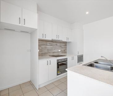 7/815 Horse Park Drive, Amaroo ACT 2914 - Townhouse For Rent | Domain - Photo 1