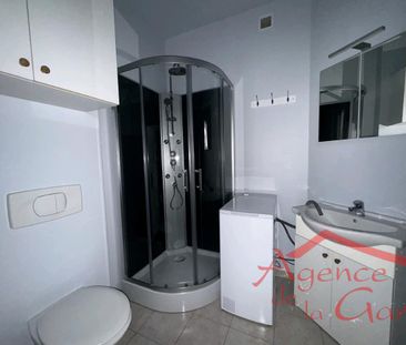 Location Appartement 1 pièce 20m² SEZANNE 51120 - Photo 5