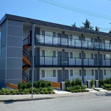 Brand New 1 Bedroom close to VIU & the hospital - Photo 3