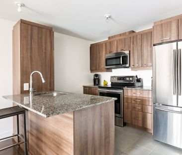 Condo for rent, Montréal (Ville-Marie) - Photo 1