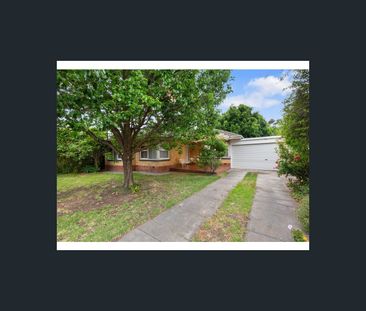 24 elese ave, Campbelltown, SA 5074 - Photo 5