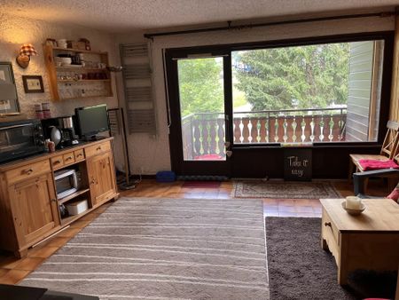 Location Appartement 1 pièce 27m² LA CHAPELLE D ABONDANCE 74360 - Photo 2