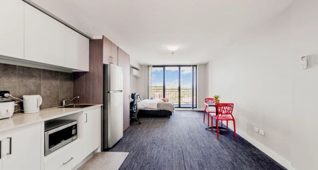 Premium Single Studio II - Photo 1