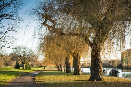 Broadway, Peterboough - Photo 5