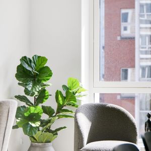 Bo til leje i den fede del af Østerbro - Foto 2