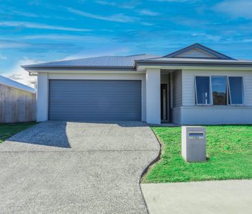 Modern Family Living in the Heart of South Ripley! - Photo 4