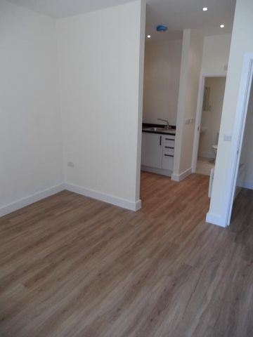 1 bedroom ground floor flat to rent - Photo 3