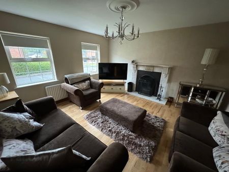 30 The Milestone, Mullaghmore Road, Dungannon, BT70 1HG - Photo 5