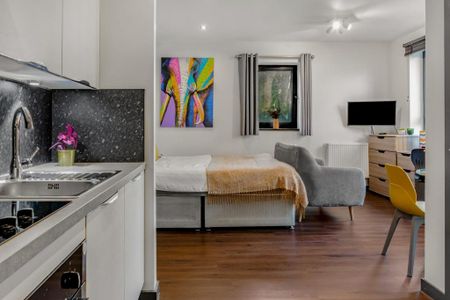 1 bedroom flat to rent - Photo 4