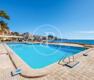 Apartment for rent in San Agustin - Photo 4