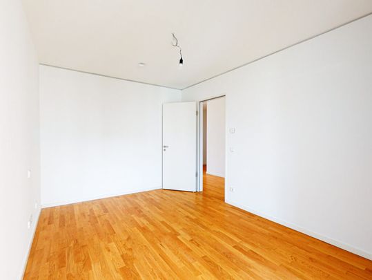 Moderne Erdgeschosswohnung mit Terrasse - Photo 1