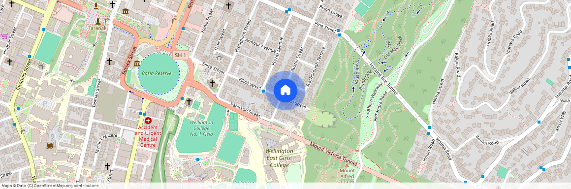 115 Austin Street, Mount Victoria, Wellington City