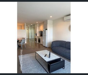 LARGEST 1 BEDROOM IN THE COMPLEX - PLENTY HILL APARTMENTS! **FULLY ... - Photo 5