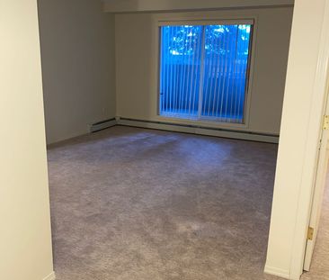 Apartment in Glanstobury with Great Incentive and Pet Friendly ! - Photo 2