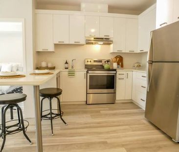 Fully Renovated 2 Bedroom / 2 Bathroom - Pet Friendly - Photo 1