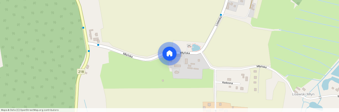 ul. Radosna, Krokowa, Krokowa, pucki, pomorskie, Lisewo