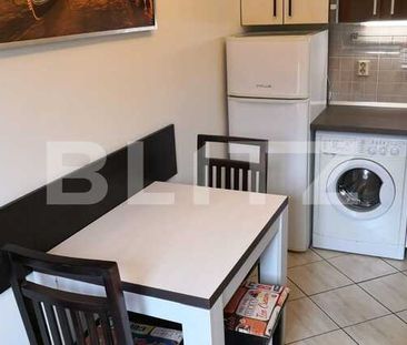 Apartament la casa, 30 mp, modern, parcare, curte, zona Avi Residence - Fotografie 3