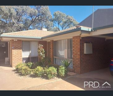 17 Adelaide Street, Gol Gol, NSW 2738 - Photo 6