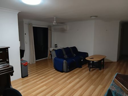 Taringa - Photo 2