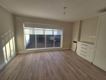 Boyne Road, Navan, Meath - Photo 4