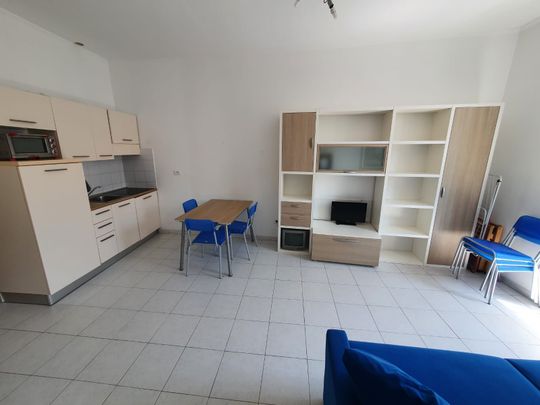 LONG - DISPONIBLE IMMEDIATEMENT - Photo 1