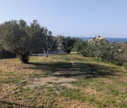 Μονοκατοικία για ενοικίαση - Σητεία, - Photo 4