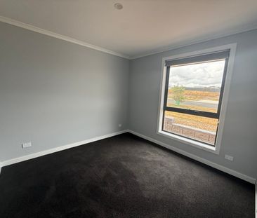 Be delighted, Living Here! - Photo 4