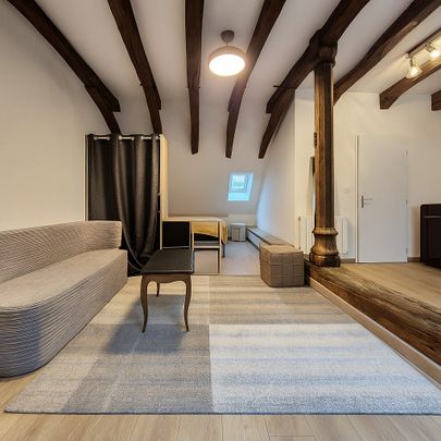 Location Appartement 1 pièce 28m² BEAUNE 21200 - Photo 1