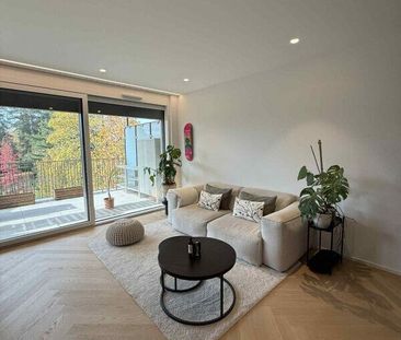 URGENT - RENTAL RENEWAL: BEAUTIFUL 3-ROOM ATIC IN VESSY (GENEVA) - Photo 6