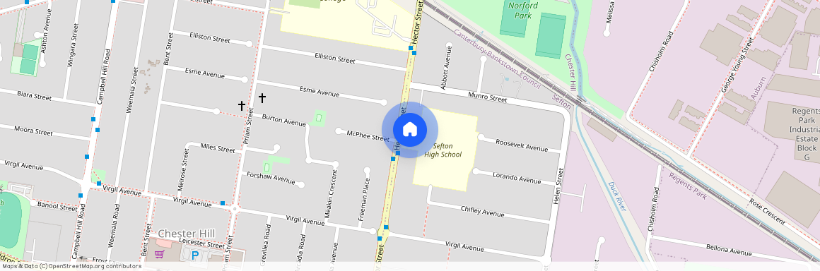 39A Hector Street, NSW 2162, Sefton